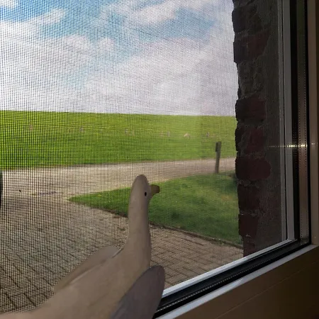 Wattwurm In Fedderwardersiel * 布特亚丁根